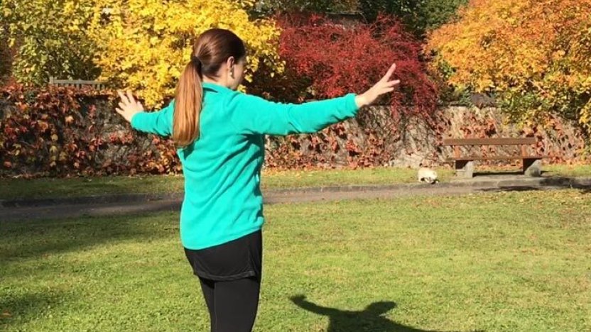 Medizinisches qigong3